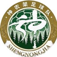 襄阳队